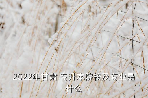 2022年甘肅 專(zhuān)升本院校及專(zhuān)業(yè)是什么
