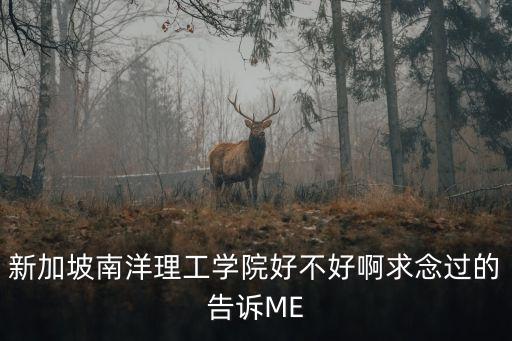 新加坡南洋理工學(xué)院好不好啊求念過(guò)的告訴ME