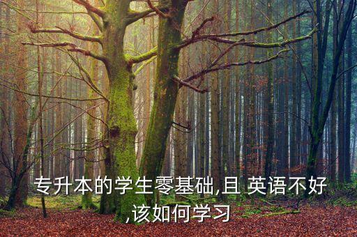  專升本的學生零基礎(chǔ),且 英語不好,該如何學習