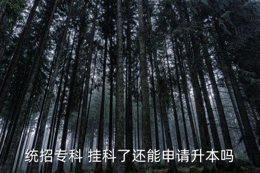 統(tǒng)招專(zhuān)科 掛科了還能申請(qǐng)升本嗎