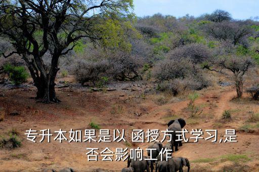  專升本如果是以 函授方式學習,是否會影響工作