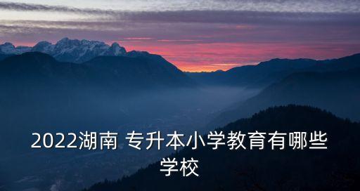 2022湖南 專升本小學教育有哪些學校