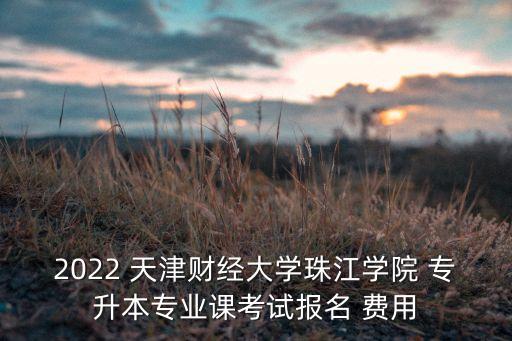2022 天津財經(jīng)大學(xué)珠江學(xué)院 專升本專業(yè)課考試報名 費用