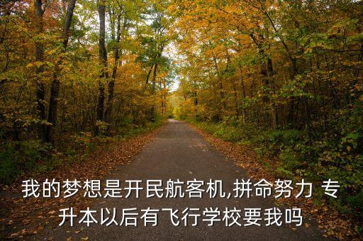 我的夢想是開民航客機,拼命努力 專升本以后有飛行學(xué)校要我嗎