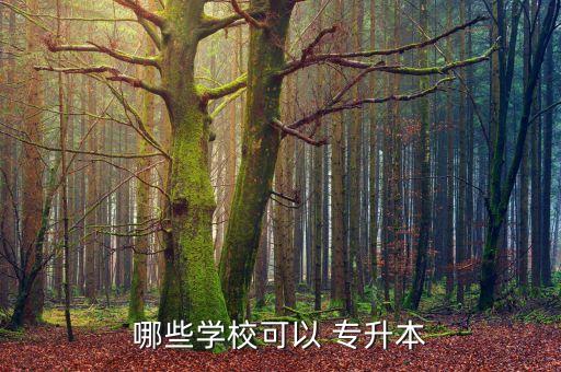 哪些學(xué)?？梢?專升本