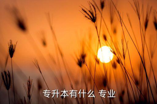  專(zhuān)升本有什么 專(zhuān)業(yè)