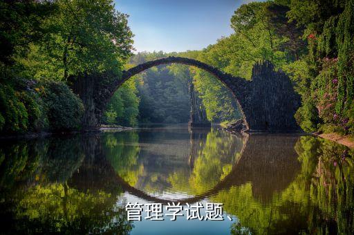  管理學(xué)試題、