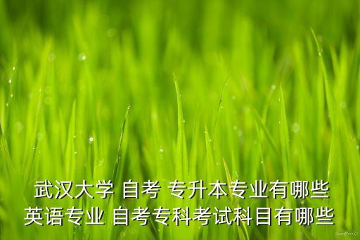  武漢大學(xué) 自考 專升本專業(yè)有哪些英語專業(yè) 自考?？瓶荚嚳颇坑心男? class=