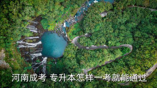 2017河南康復專升本