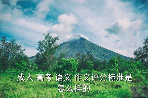 成人 高考 語(yǔ)文 作文評(píng)分標(biāo)準(zhǔn)是怎么樣的