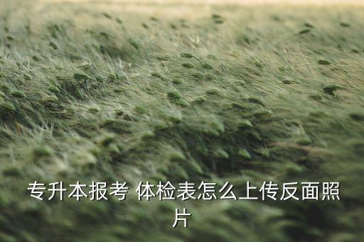  專升本報(bào)考 體檢表怎么上傳反面照片