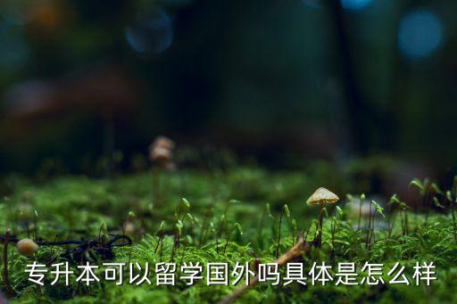  專升本可以留學(xué)國外嗎具體是怎么樣