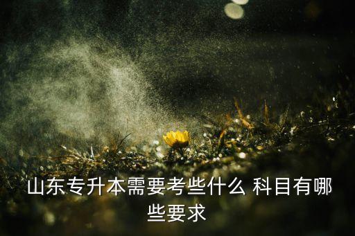 2018山東美術生專升本考試科目,山東美術生專升本分數(shù)線