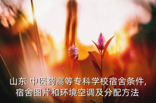 山東 中醫(yī)藥高等?？茖W校宿舍條件,宿舍圖片和環(huán)境空調(diào)及分配方法