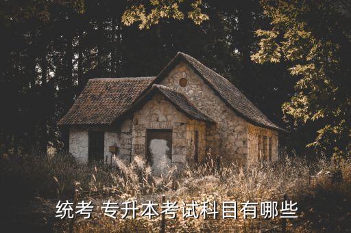 專升本網絡教育都統(tǒng)考