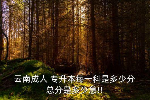  云南成人 專(zhuān)升本每一科是多少分 總分是多少急!!