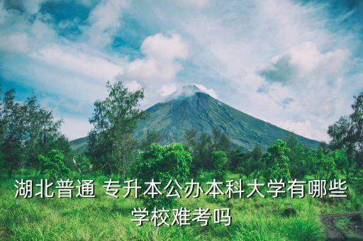 湖北普通 專升本公辦本科大學有哪些學校難考嗎
