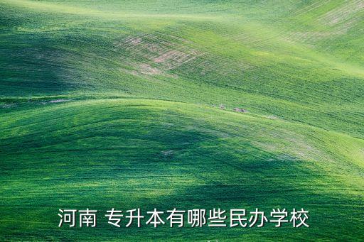 河南 專升本有哪些民辦學校