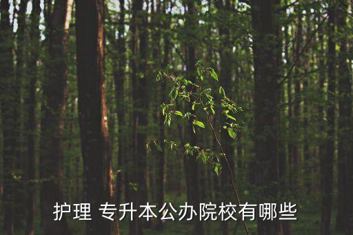 護理 專升本公辦院校有哪些