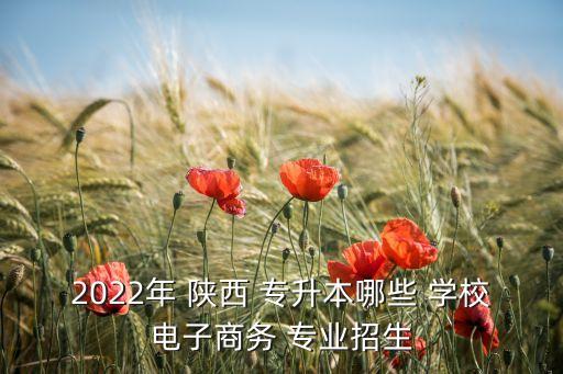 2022年 陜西 專(zhuān)升本哪些 學(xué)校電子商務(wù) 專(zhuān)業(yè)招生