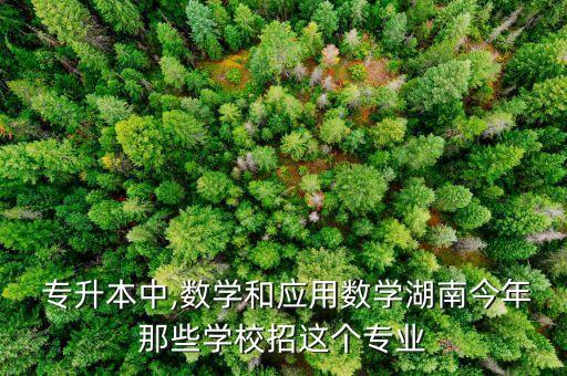  專(zhuān)升本中,數(shù)學(xué)和應(yīng)用數(shù)學(xué)湖南今年那些學(xué)校招這個(gè)專(zhuān)業(yè)