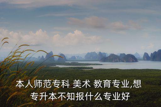 本人師范?？?美術(shù) 教育專業(yè),想 專升本不知報(bào)什么專業(yè)好