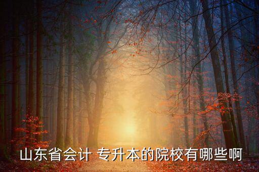  山東省會計(jì) 專升本的院校有哪些啊