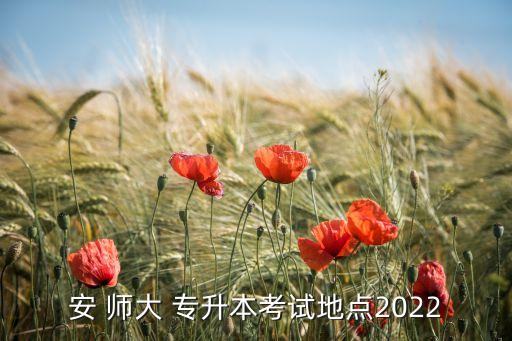 安 師大 專升本考試地點2022