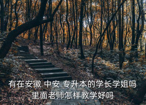 有在安徽 中安 專升本的學(xué)長(zhǎng)學(xué)姐嗎里面老師怎樣教學(xué)好嗎