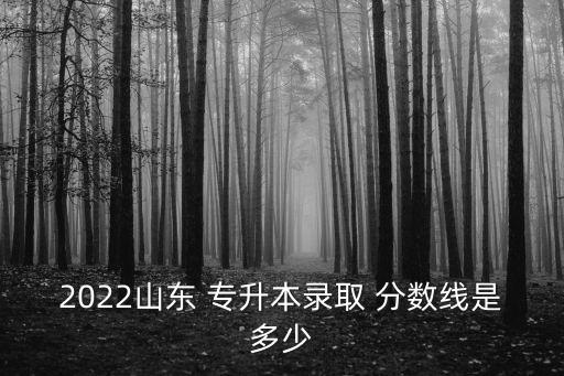 2022山東 專升本錄取 分?jǐn)?shù)線是多少