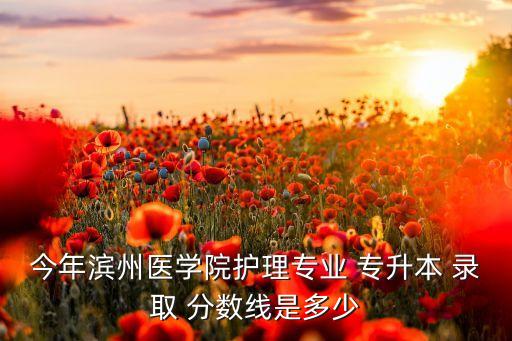 今年濱州醫(yī)學(xué)院護理專業(yè) 專升本 錄取 分數(shù)線是多少