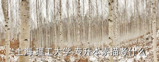  上海 理工大學 專升本素描考什么