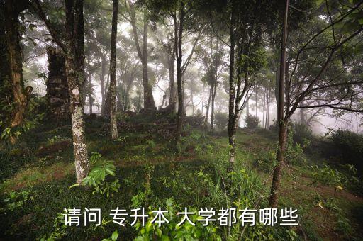 請(qǐng)問(wèn) 專升本 大學(xué)都有哪些