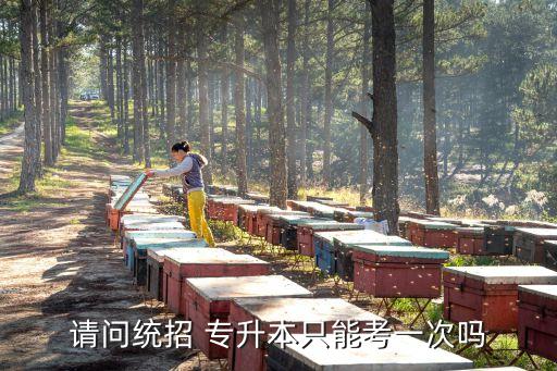 請(qǐng)問(wèn)統(tǒng)招 專(zhuān)升本只能考一次嗎