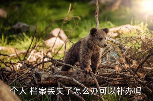 個人 檔案丟失了怎么辦可以補(bǔ)辦嗎