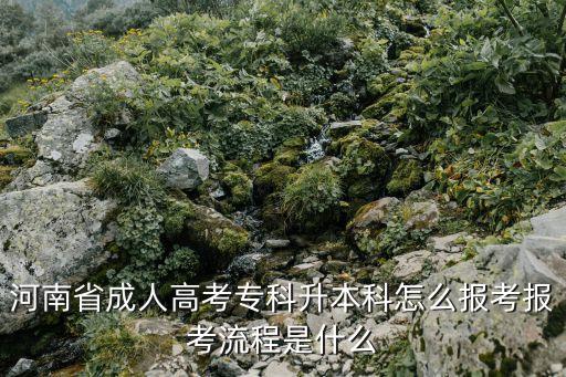 河南省成人高考專科升本科怎么報考報考流程是什么