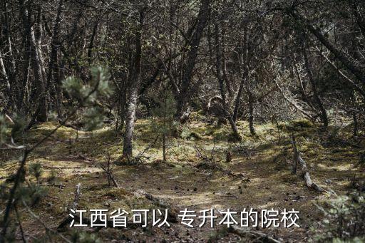  江西省可以 專升本的院校