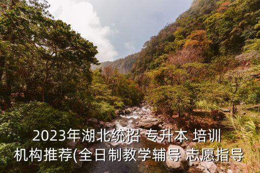 黃石專升本培訓機構(gòu),山東專升本培訓機構(gòu)排名前十