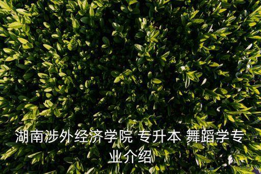 湖南涉外經(jīng)濟學(xué)院 專升本 舞蹈學(xué)專業(yè)介紹