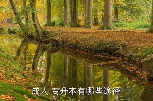 成人 專(zhuān)升本有哪些途徑