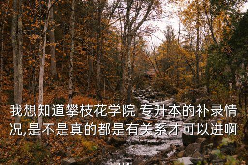 我想知道攀枝花學院 專升本的補錄情況,是不是真的都是有關(guān)系才可以進啊...