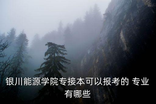 銀川能源學院專接本可以報考的 專業(yè)有哪些