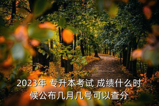 2023年 專升本考試 成績(jī)什么時(shí)候公布幾月幾號(hào)可以查分