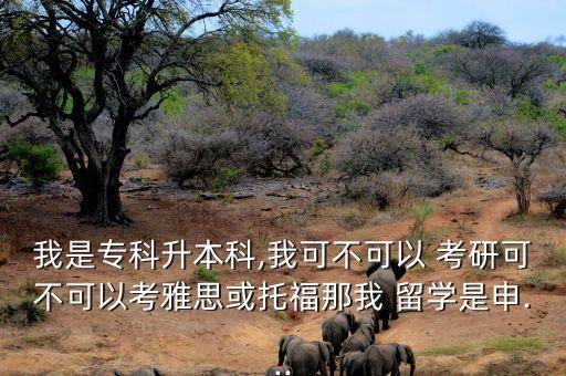 我是?？粕究?我可不可以 考研可不可以考雅思或托福那我 留學(xué)是申...