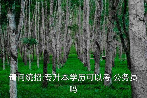 全日制專(zhuān)升本可以考公務(wù)員