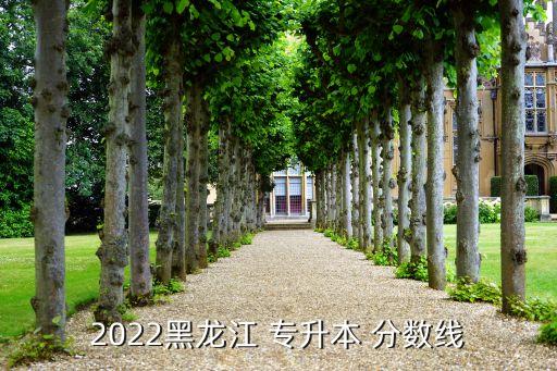 黑龍江省齊齊哈爾大學(xué)專(zhuān)升本分?jǐn)?shù)線,2022黑龍江省專(zhuān)升本分?jǐn)?shù)線