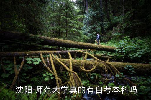  沈陽(yáng) 師范大學(xué)真的有自考本科嗎