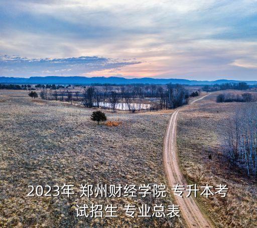 鄭州會計(jì)專升本學(xué)校有哪些專業(yè)學(xué)校