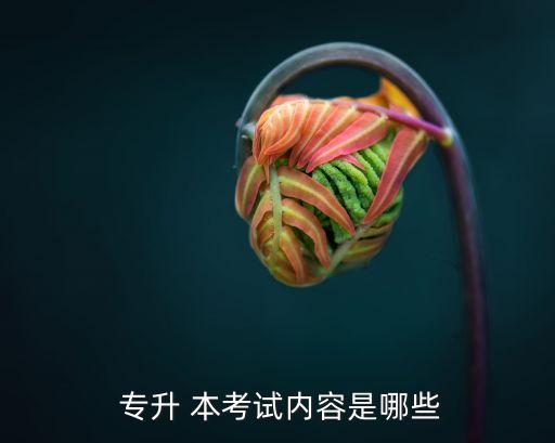  專升 本考試內容是哪些