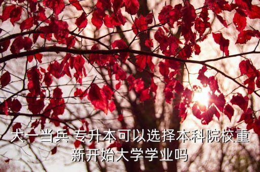 大一當(dāng)兵 專(zhuān)升本可以選擇本科院校重新開(kāi)始大學(xué)學(xué)業(yè)嗎